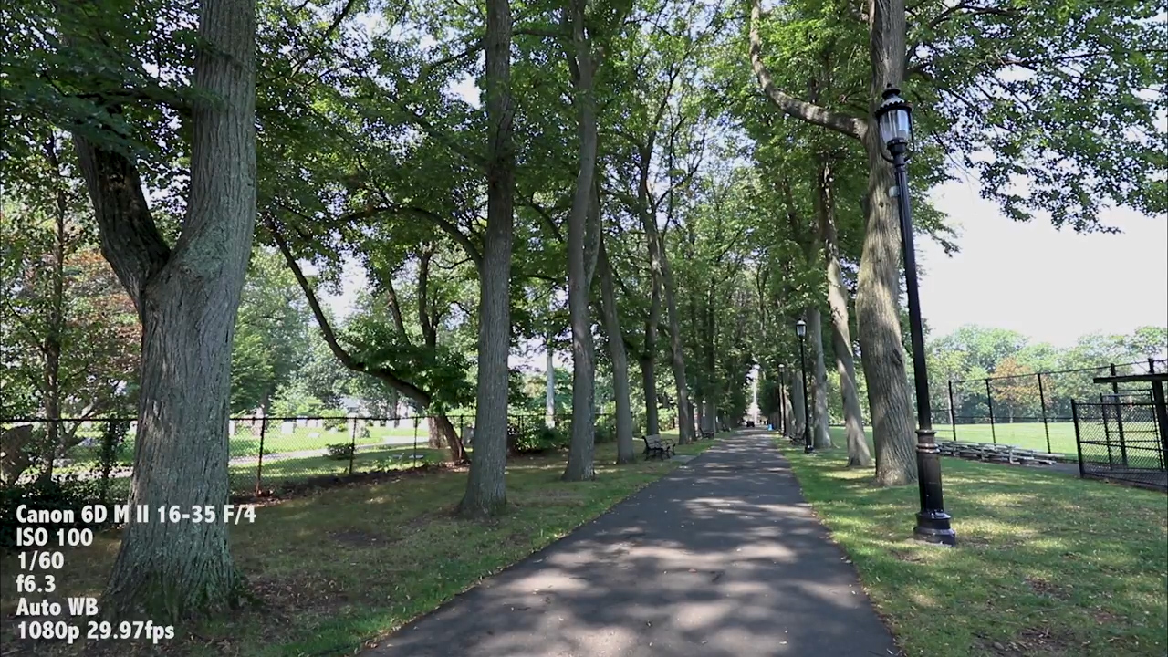 佳能90d和6d2哪个值得入,佳能6d2还值得入手吗