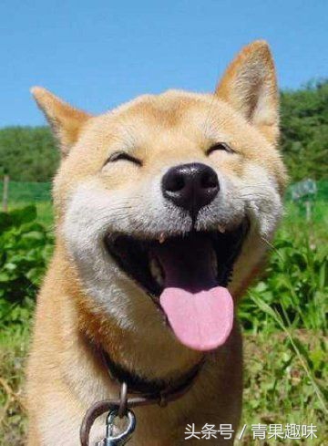 校园那些糗事,校园时代的糗事