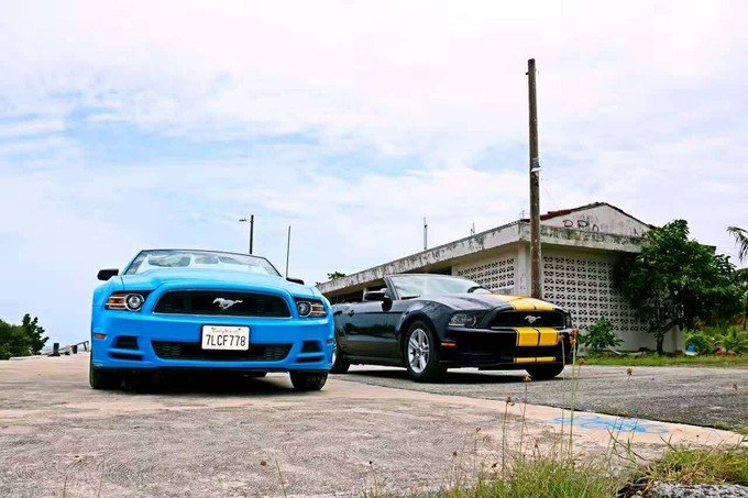 一起去帕劳旅游,去帕劳旅游自由行攻略