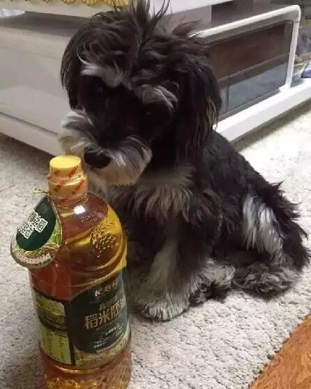 各种狗及身价，终于收全了