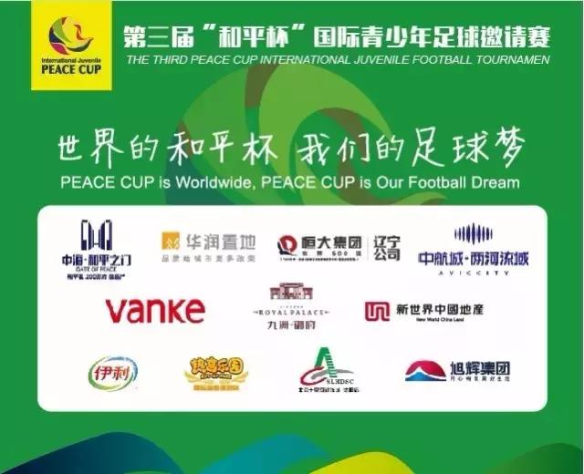 和平杯u14排名,和平杯u12比赛