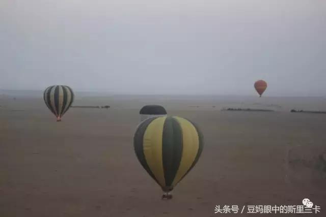 风动？树动？心动！致你，Kenya