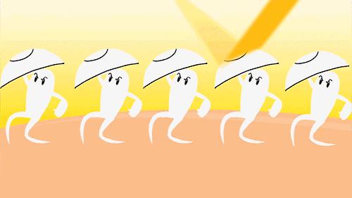 十款最好用的防晒霜,十款最好用的日常防晒霜