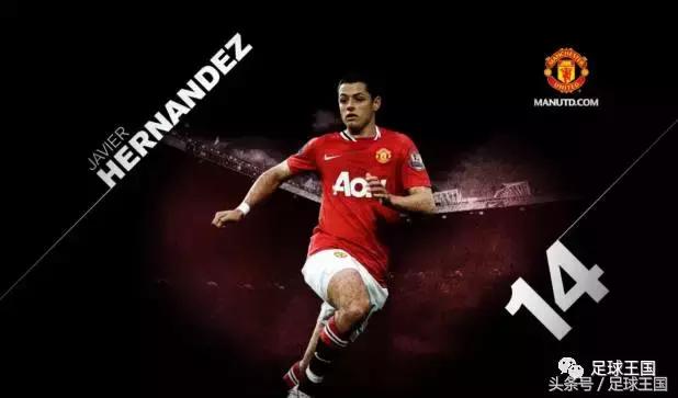 小豌豆现在在哪个队,小豌豆回归母队