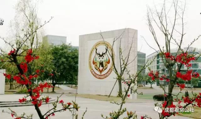 成都朗基小区房价,成都朗基房地产