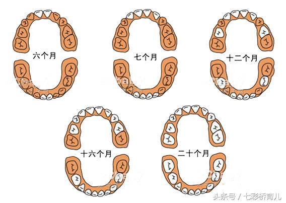 婴儿也会蛀牙！妈咪必学的幼儿牙齿保健术