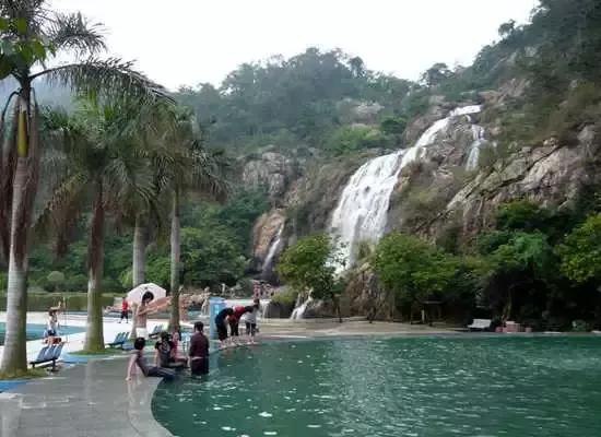 花如此多娇,花都如此多娇全文免费阅读