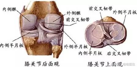 膝盖疼痛治疗经验分享,膝关节总结