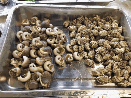 灏忕綉娴烽矞鏉窞,灏忕綉娴烽矞鎶栭煶鍥㈣喘