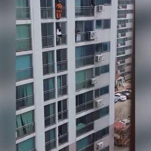 这到底是什么东西啊，好有趣