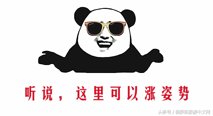 普京年轻时候的穿搭,普京职场穿什么衣服好看