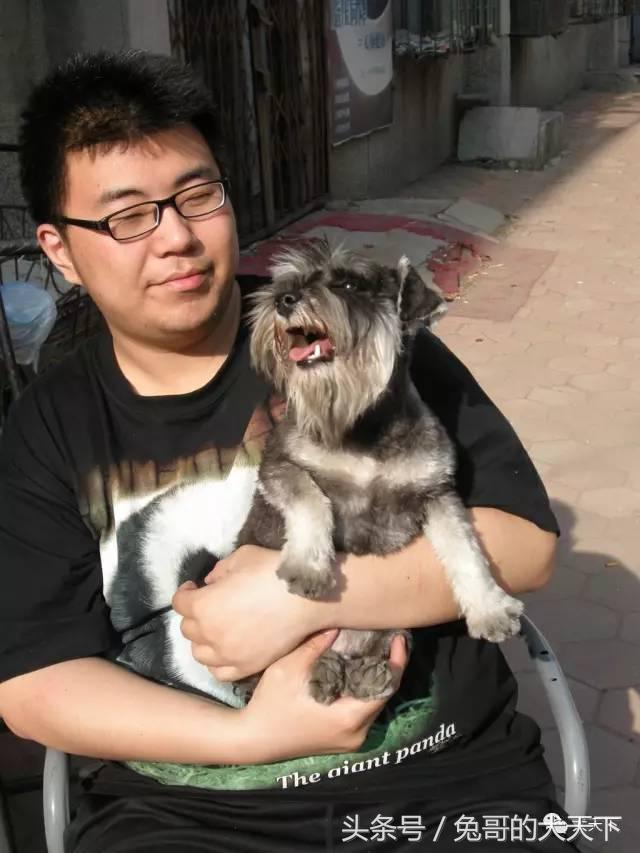 我的故事：不再迷茫的两百斤胖洋洋！我和宠物美容师的故事