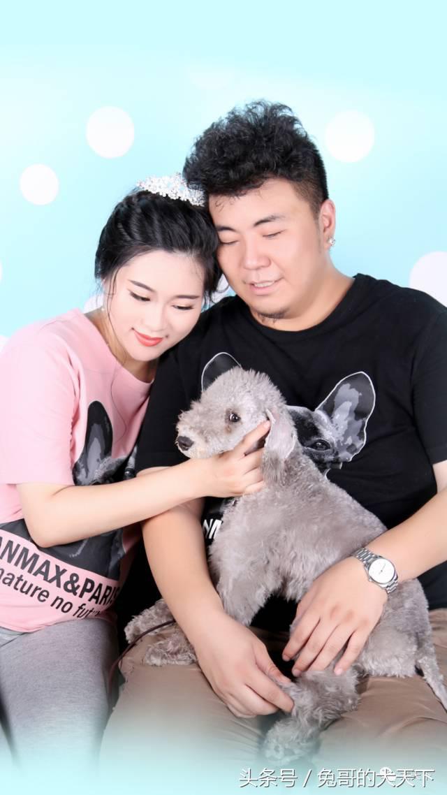 我的故事：不再迷茫的两百斤胖洋洋！我和宠物美容师的故事