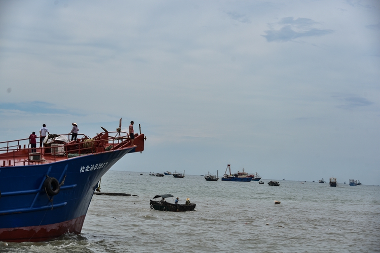 北海开渔仪式2020时间,北海开渔