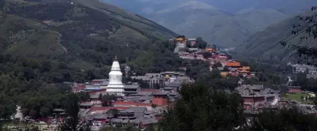 对不起我来晚了，幸好你还没热成人肉叉烧包