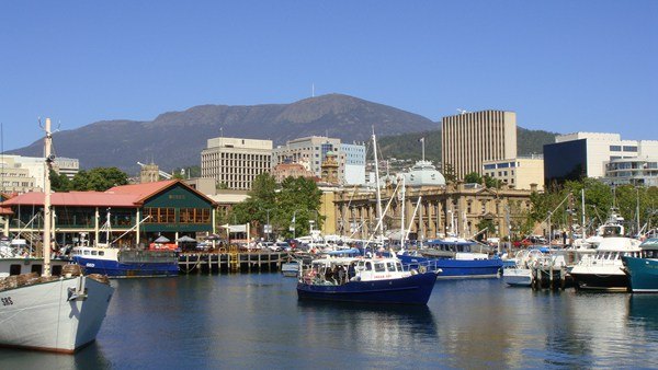 澳大利亚鲍鱼新西兰鲍鱼,澳大利亚顶级鲍鱼