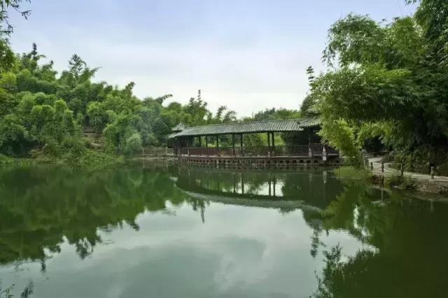 四川长宁竹海与赤水竹海,竹海风景区沐川