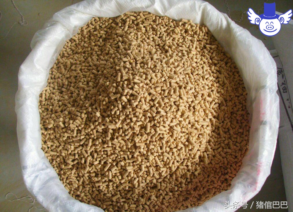 养猪十大问题及解决方法,如何养猪达到零污染