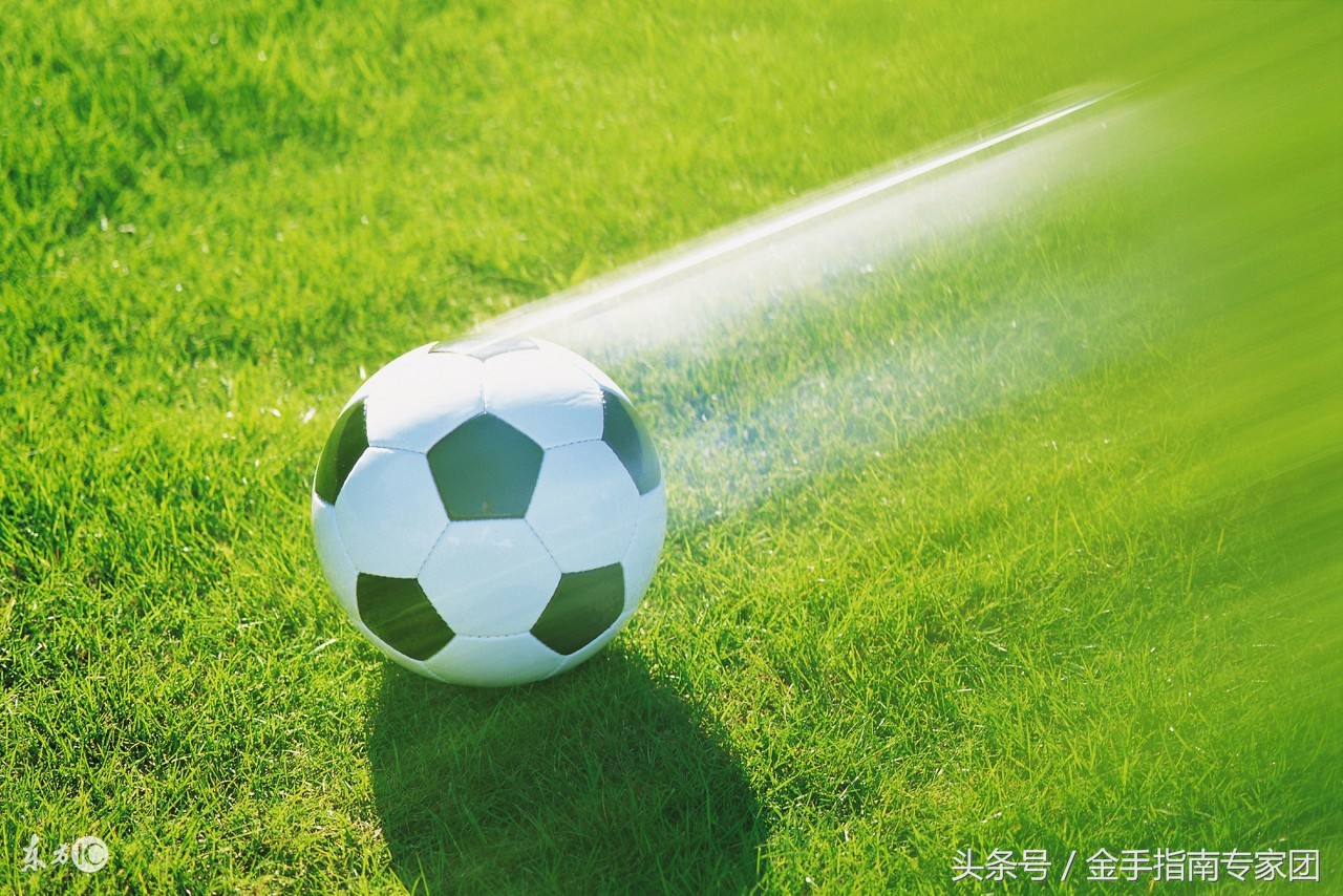 金手指南周四赛事,金手指南萨莫拉