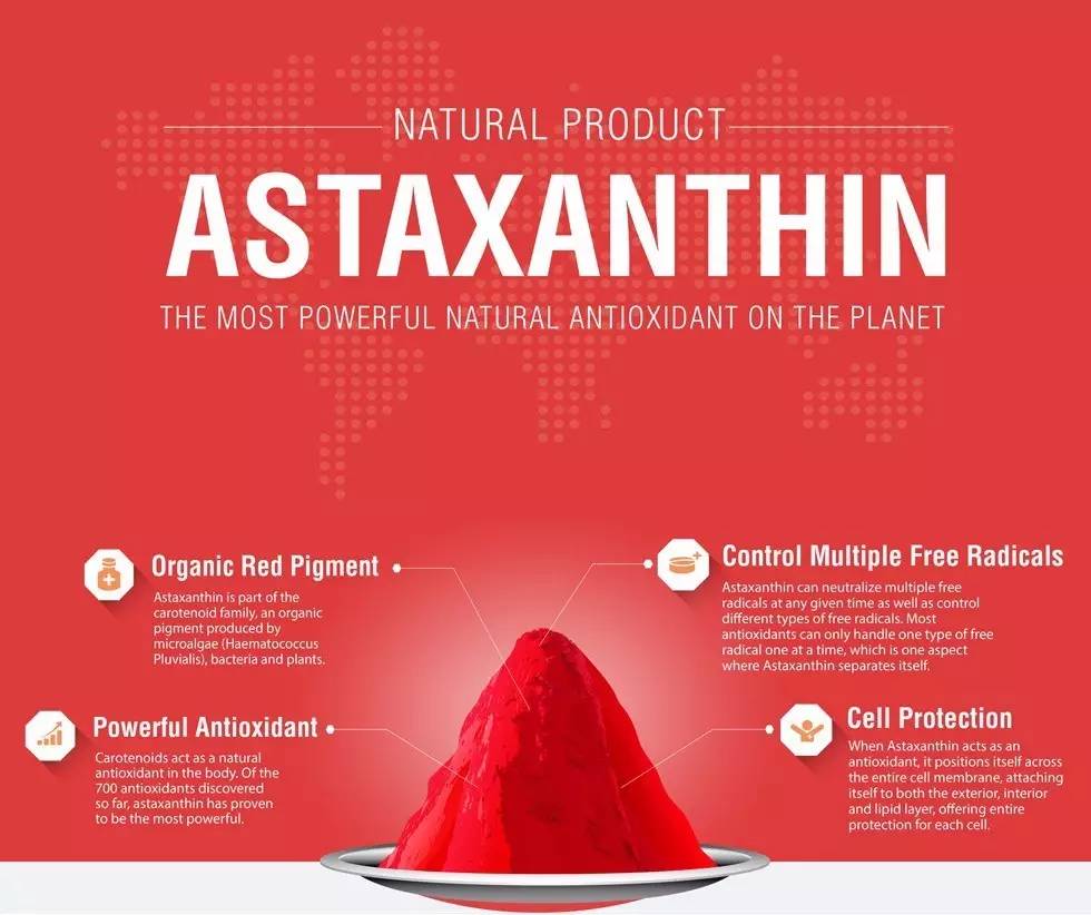 贵宾推荐什么狗粮,比较好的贵宾狗粮