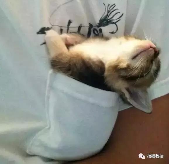 别跟我谈什么梦想我只想躺赢,别跟我谈什么梦想