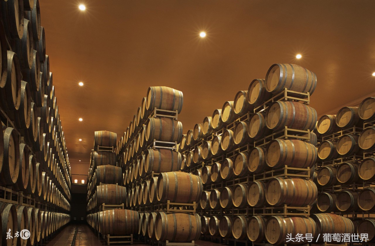 黄尾袋鼠酒庄所有的葡萄酒,黄尾袋鼠酒庄官网