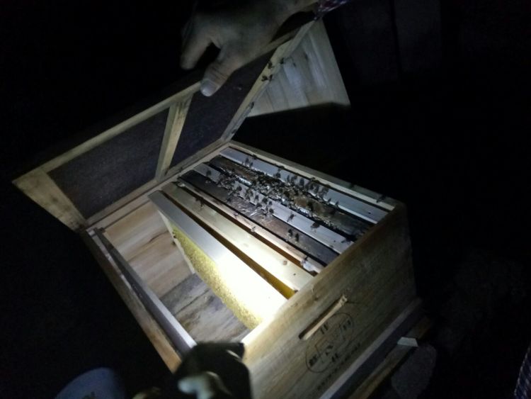 独霸牛头山，只为自己的甜蜜事业/临海味道