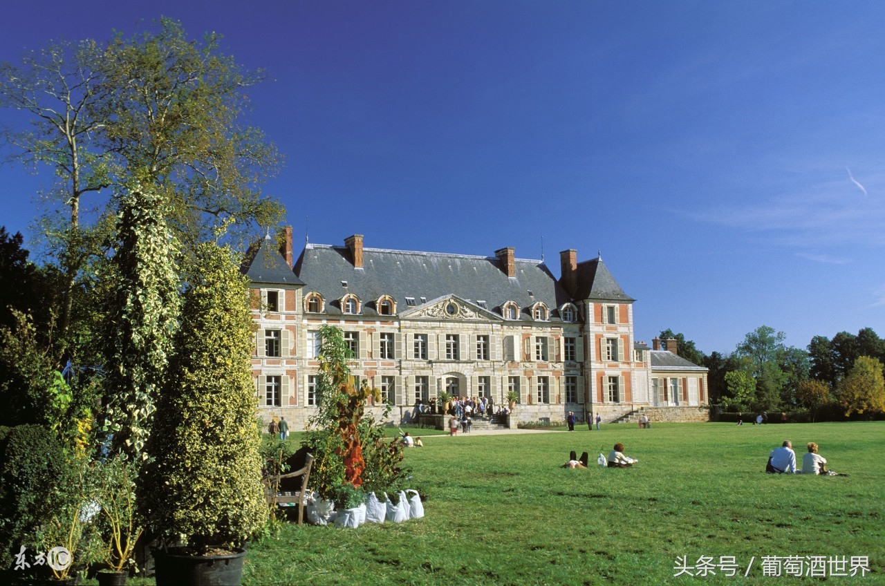 柏图斯酒庄名品介绍,柏图斯petrus