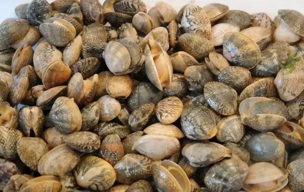 又到吃海鲜的季节咯！一位吕四渔民整理的海鲜大全，保证有你不认识的！