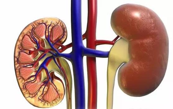 过敏性紫癜发病机制流程图,过敏性紫癜的重要病因病机中医