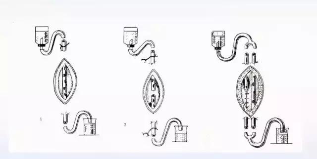 创面感染用什么抗生素,创面感染最佳治疗方案