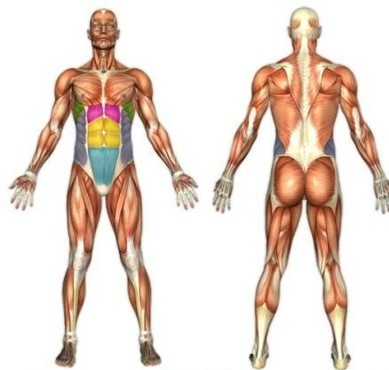 预防驼背背部训练动作,锻炼背部肌肉矫正驼背简单动作