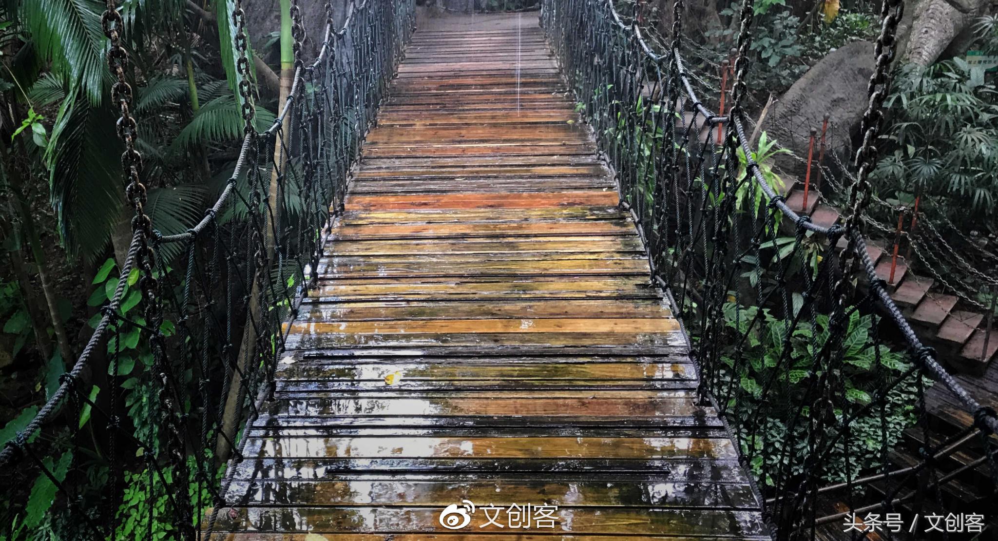 深圳青青世界累吗,深圳青青世界夏天热吗