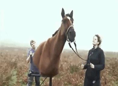 化妆是一种邪术,化妆邪术果然名不虚传