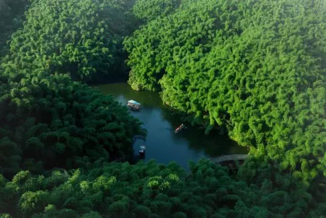 四川长宁竹海与赤水竹海,竹海风景区沐川