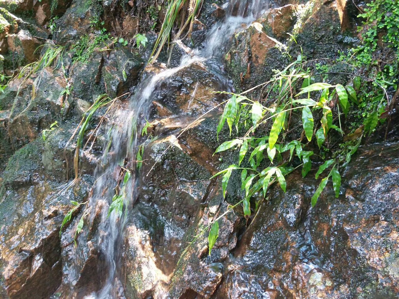 蓝颜知己是指的什么关系,蓝颜知己歌曲原唱完整版