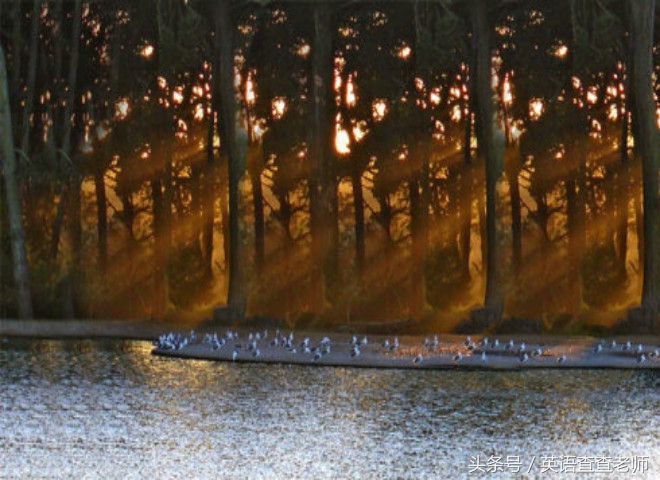 推荐歌适合男生唱,歌曲推荐好听到爆适合男生的