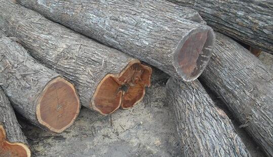 黑酸枝怎么鉴别,黑酸枝真伪