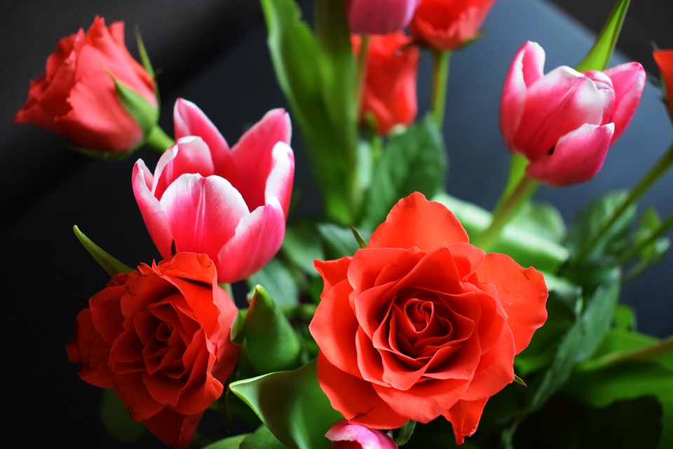 我只在乎你邓丽君完整版,我只在乎你