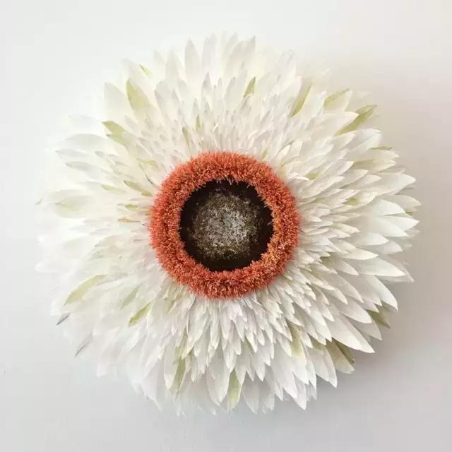 会枯萎腐烂的仿真花,会枯萎的花有什么