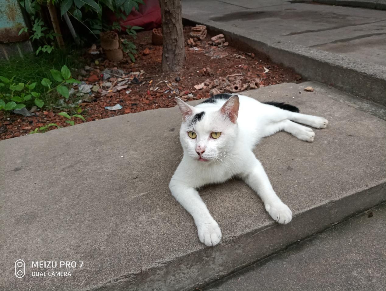 魅族pro7现在值得购买吗,魅族pro7现在值得入手