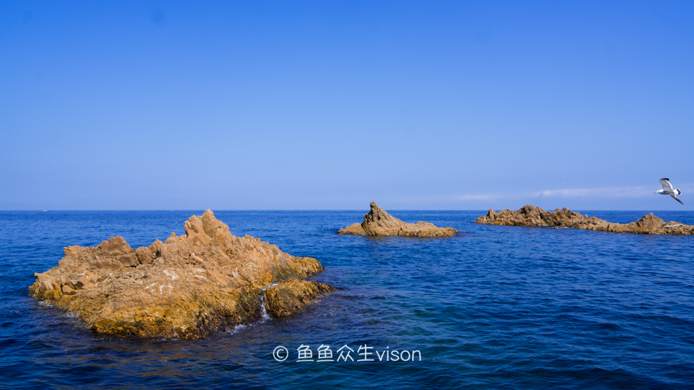 这里是日本,日本旅游柯南故乡