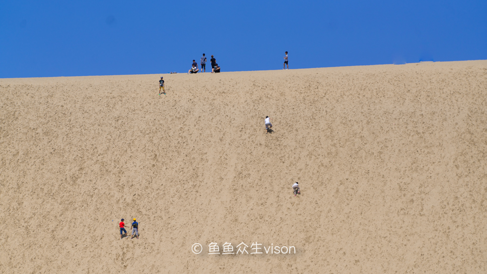 日本东京大阪最值得去的地方,日本大阪深度游攻略