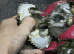 吃海鲜这些事一定要注意,吃海鲜了哪些水果不能吃