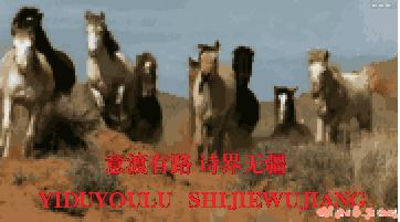 曾烟的诗：悲观主义的花朵I总第069期