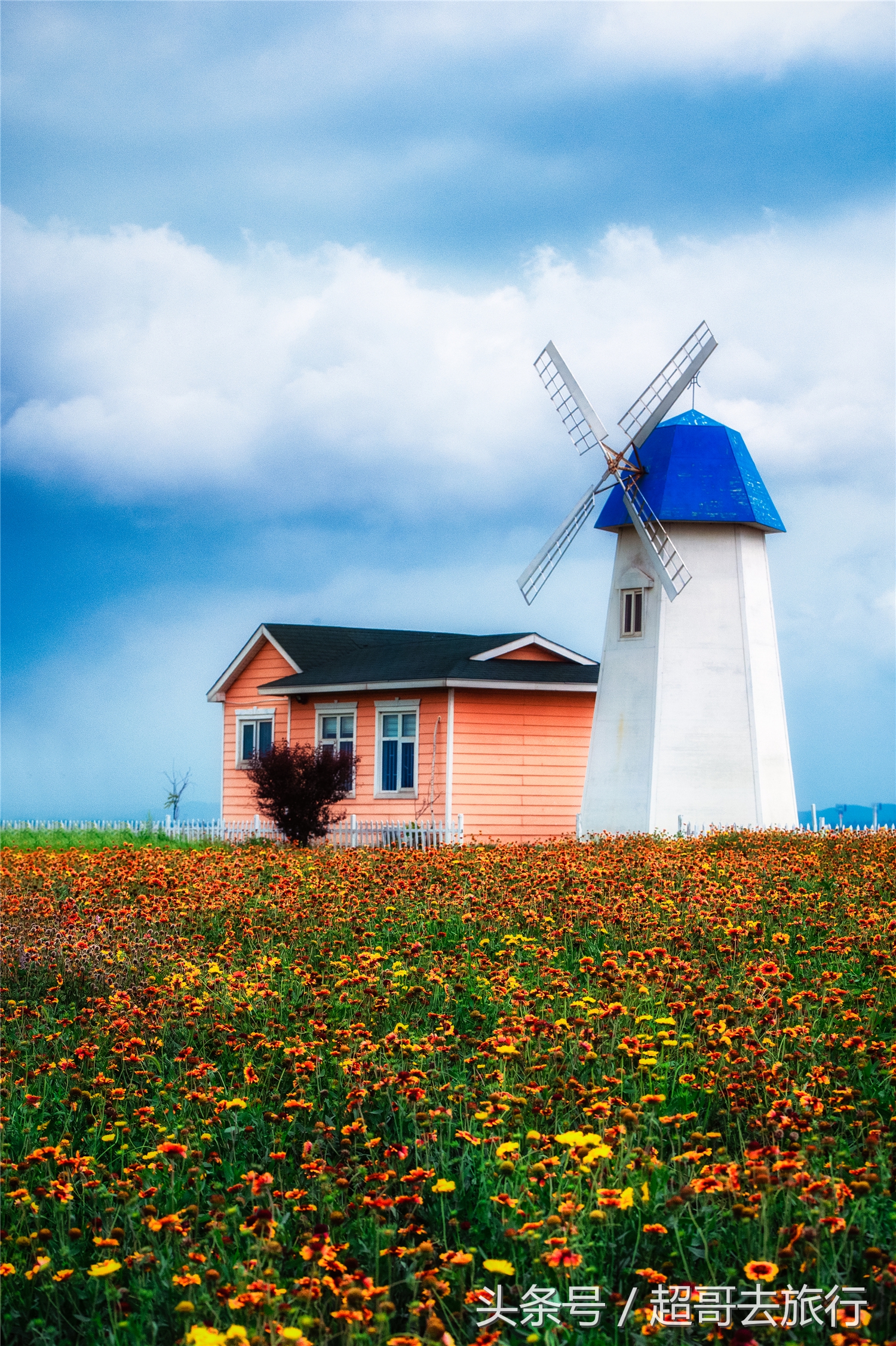 日照花仙子风景区团购,日照花仙子风景区为什么拆了
