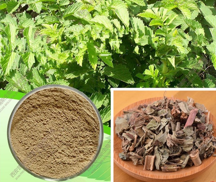 气血双补的仙鹤草，还有一些什么秘密，你知道吗？