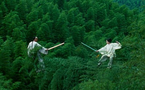 最好看的十部功夫电影,李连杰功夫电影完整版免费观看