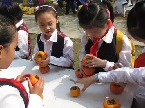 潍坊市奎文区新建学校,潍坊新建设的学校