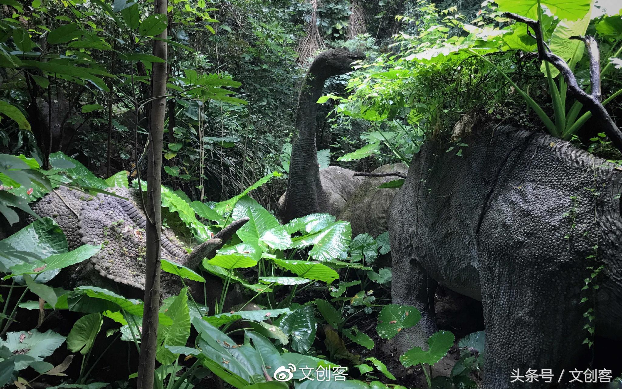 深圳青青世界累吗,深圳青青世界夏天热吗